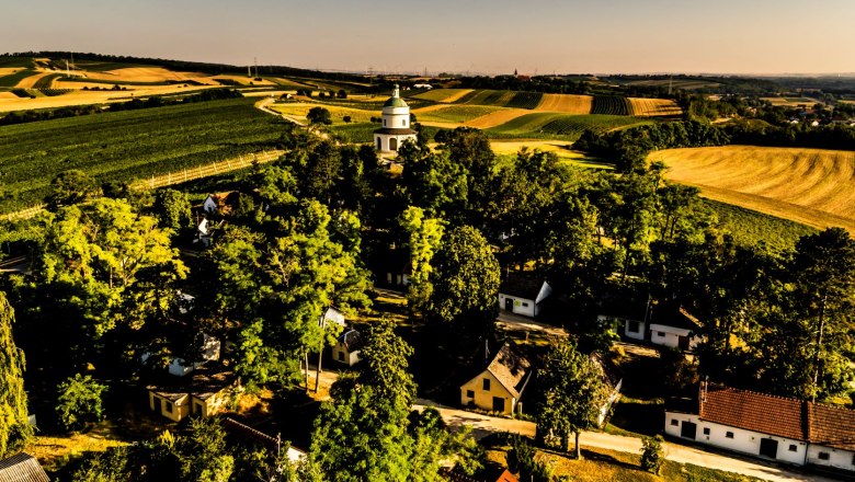Kellergasse mit Rochusberg, © Robert Herbst Landschaft mit Feldern, Bäumen und einer kleinen Kirche in der Mitte.