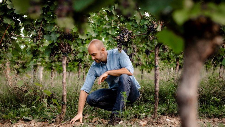 Weingut Jatschka, © Astrid Bartl Mann in blauem Hemd kniet in einem Weinberg und berührt den Boden.