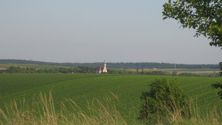 Hochleithen, © Christine Friedl Landschaft mit Kirche in der Ferne, umgeben von grünen Feldern und Bäumen.