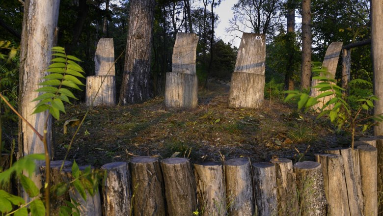 Schlosspark Nexing, © Natur im Garten/Alexander Haiden Holzskulpturen im Schlosspark Nexing umgeben von Bäumen.