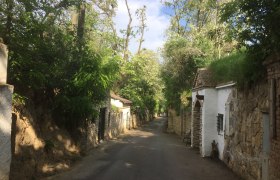 Kellergasse Hautzendorf, © Gemeinde Kreuttal Eine schmale, von Bäumen gesäumte Straße mit alten, steinernen Gebäuden auf beiden Seiten.