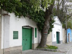 Kellergasse Langenzersdorf, © eli janoschek Kellergasse Langenzersdorf, © eli janoschek