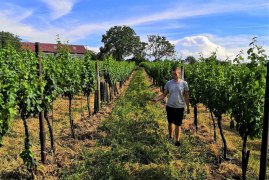 Im Weingarten, &copy; Winzerfamilie Pfalz