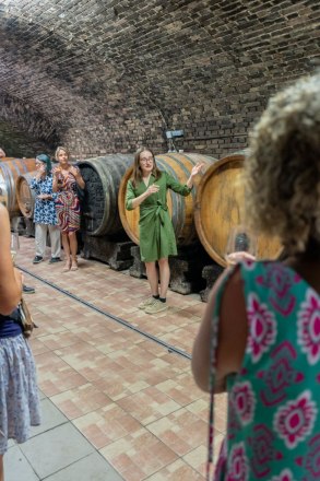 Kellerf&uuml;hrung durch den Gew&ouml;lbekeller, &copy; Carmen Scheiblhofer