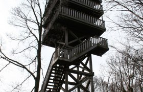 Holzaussichtsturm im Wald mit kahlen Bäumen.