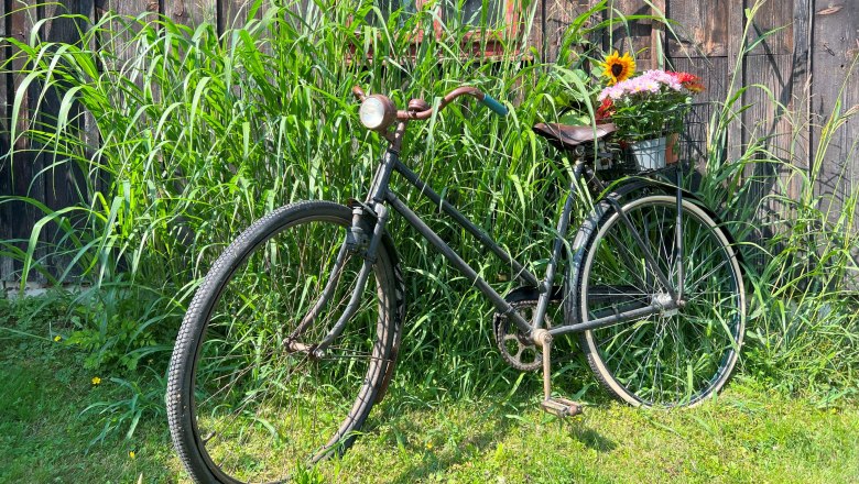 Ein altes Fahrrad mit einem Korb voller Blumen steht vor einer Holzwand, umgeben von hohem Gras.