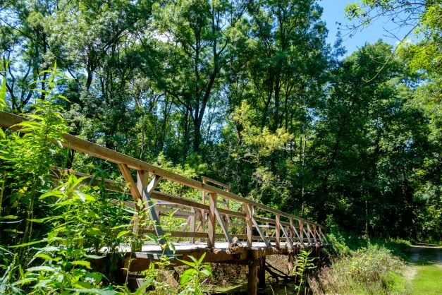 Holzbr&uuml;cke in einem Waldgebiet mit &uuml;ppigem Gr&uuml;n und klarem Himmel.