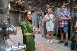 Kellerf&uuml;hrung, &copy; Carmen Scheiblhofer