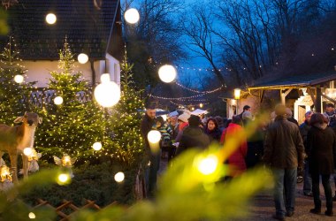 Advent in Wolkersdorf, © Weinviertel Tourismus / Christine Wurnig