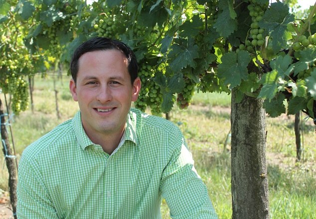 Mann in grünem Hemd kniet in einem Weinberg neben Reben.