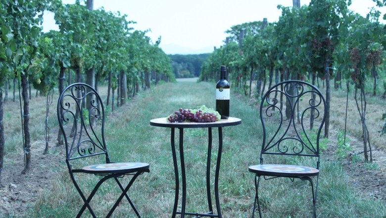 Ein Tisch mit Weinflasche und Trauben zwischen zwei Stühlen in einem Weinberg.