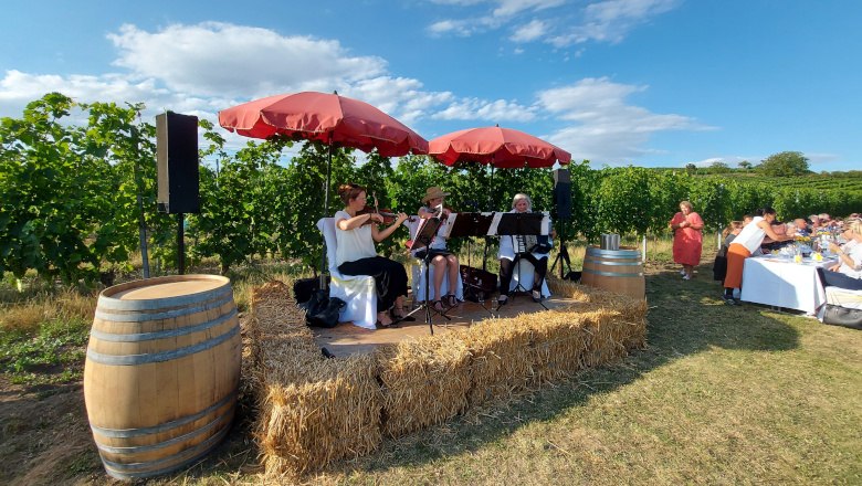 Tafeln im Weinviertel, © Weinviertel Tourismus GmbH