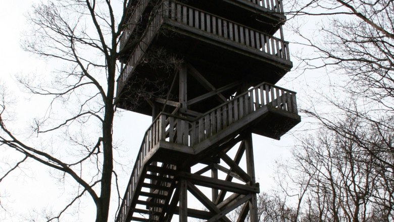 Holzaussichtsturm im Wald mit kahlen Bäumen.