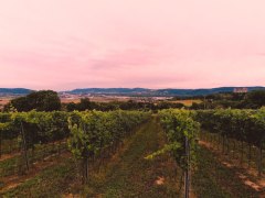 Obere Trenk, &copy; Stephanie Holzer