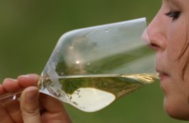 Weinglas, &copy; Himml