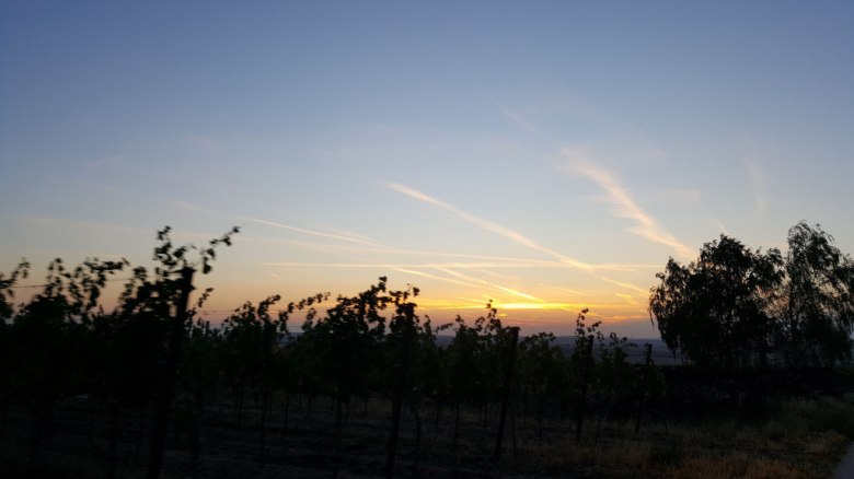 Sunset Tasting, &copy; Winzerfamilie Pfalz