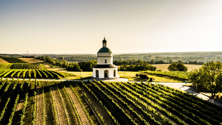 Mannersdorf an der March, © Weinstraße Südliches Weinviertel / Robert Herbst