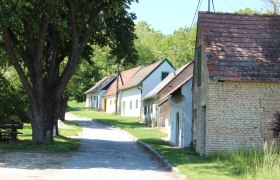 Eine malerische Kellergasse mit traditionellen Weinkellern und einem großen Baum im Vordergrund.