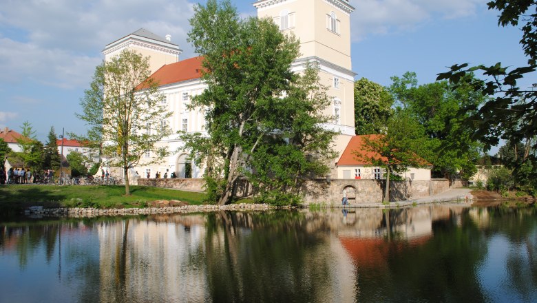 Schloss Wolkersdorf mit Spiegelung im Wasser und umgeben von Bäumen.