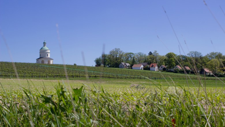 Landschaft mit Kapelle, Weinbergen und H&auml;usern unter blauem Himmel.