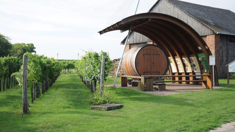 Weinberg mit gro&szlig;em Holzfass und Infotafeln in Hohenruppersdorf.