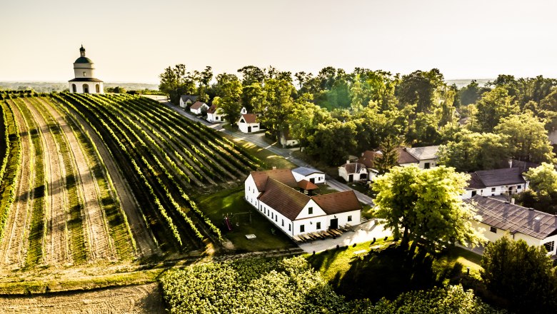 Mannersdorf/March, © Weinstraße Südliches Weinviertel / Robert Herbst