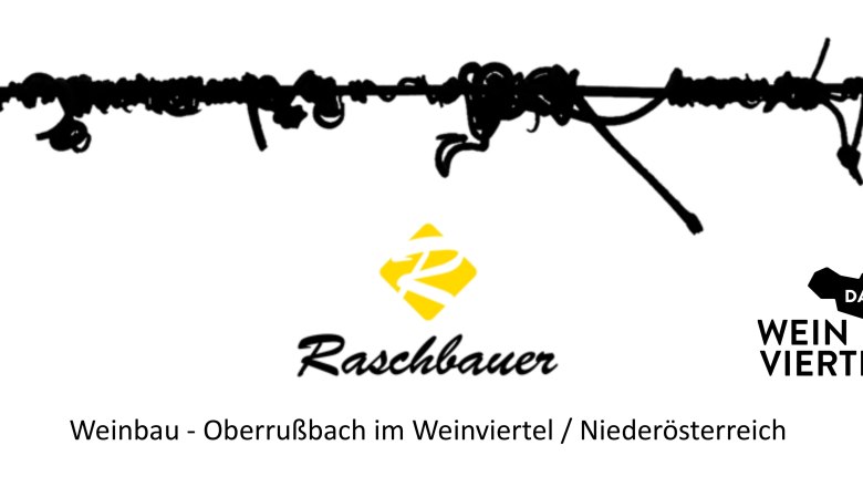 Logo von Raschbauer Weinbau im Weinviertel, Niederösterreich.