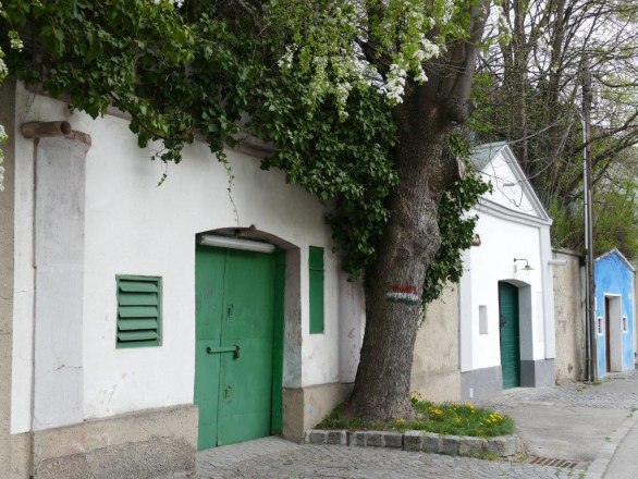 Kellergasse Langenzersdorf, &copy; eli janoschek