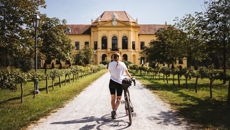 Ein sonniger Tag l&auml;dt zu einer entspannenden Radtour ein, w&auml;hrend die majest&auml;tische Kulisse des Schlosses Eckartsau im Hintergrund erstrahlt. Die sanften H&uuml;gel und die &uuml;ppigen Weinreben entlang des Weges schaffen eine malerische Atmosph&auml;re, die zum Verweilen einl&auml;dt.