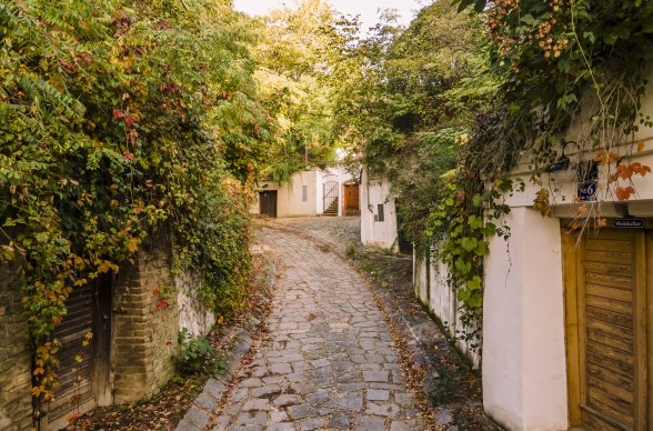 Kellergasse Enzersfeld, © Robert Herbst