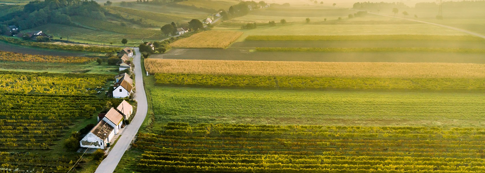 Kellergasse Enzersfeld, © Weinstraße Südliches Weinviertel / Robert Herbst