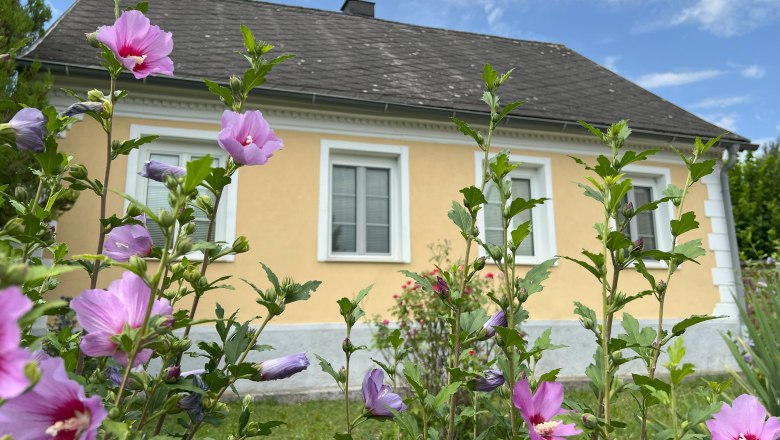 Ein gelbes Haus mit wei&szlig;en Fensterrahmen, umgeben von bl&uuml;henden rosa Blumen im Vordergrund.