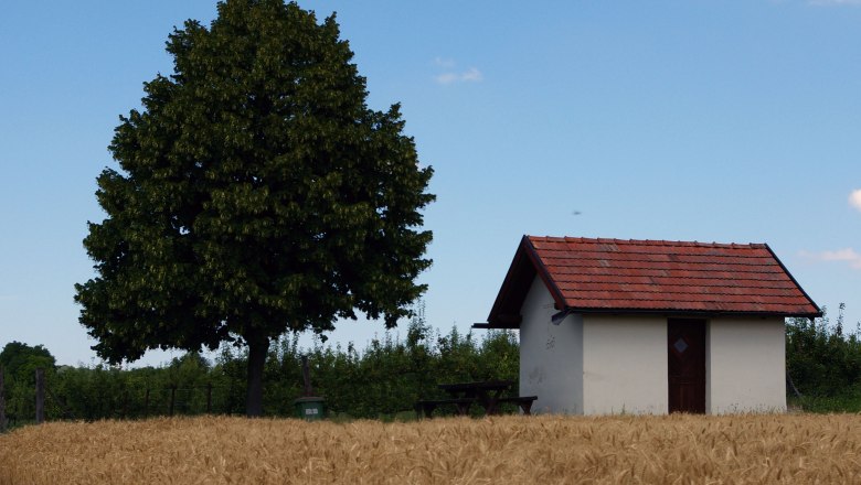 Kleine Hütte mit rotem Dach neben einem großen Baum auf einem Feld.