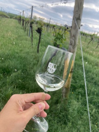 Weingenuss, &copy; Katharina D&ouml;llinger