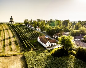 Mannersdorf/March, © Weinstraße Südliches Weinviertel / Robert Herbst