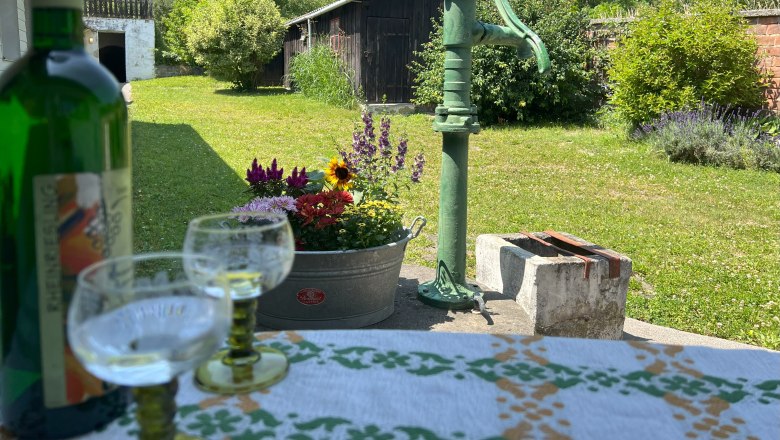 Ein grüner Innenhof mit einer alten Wasserpumpe, Blumen und einem Tisch mit Weinflasche und Gläsern.