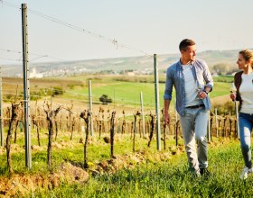 In die Grean gehen: Ab ins Gr&uuml;ne!, &copy; Nieder&ouml;sterreich Werbung / Andreas Jakwerth