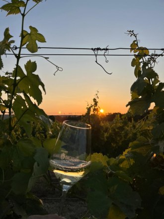 Sunset Tasting im Weinglas, &copy; Weingut Haindl-Erlacher
