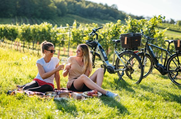 Weinviertler Radlerpicknick, © Weinviertel Tourismus / Daniel Gollner