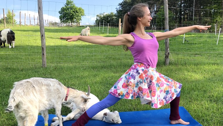 Frau macht Yoga-Pose auf Matte im Freien mit Ziegen um sie herum.