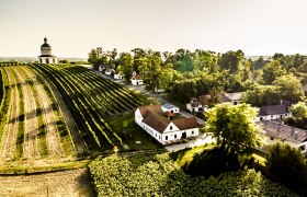 Mannersdorf/March, © Weinstraße Südliches Weinviertel / Robert Herbst