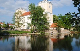 Schloss Wolkersdorf mit Spiegelung im Wasser und umgeben von Bäumen.