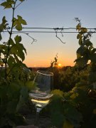 Sunset Tasting im Weinglas, &copy; Weingut Haindl-Erlacher