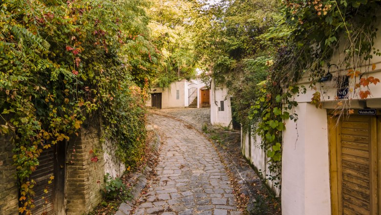 Kellergasse Enzersfeld, © Robert Herbst