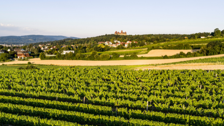 Blick auf die Burg Kreuzenstein, © Robert Herbst