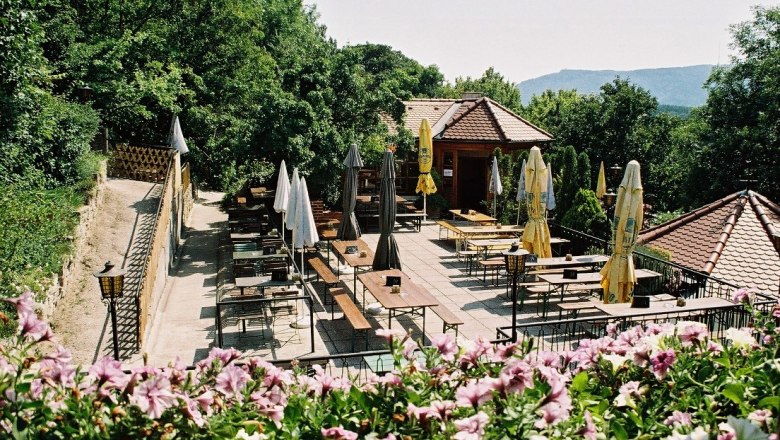 Terrassenheuriger mit leeren Tischen und Sonnenschirmen, umgeben von Bäumen und Blumen.