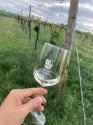 Weingenuss, &copy; Katharina D&ouml;llinger