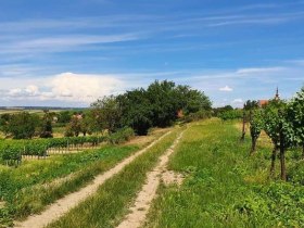 Hohenruppersdorf, &copy; Hohenruppersdorfer IMPUSE f&uuml;r Dorfaktivit&auml;ten
