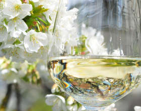 Weintour Weinviertel, © M. Hahn