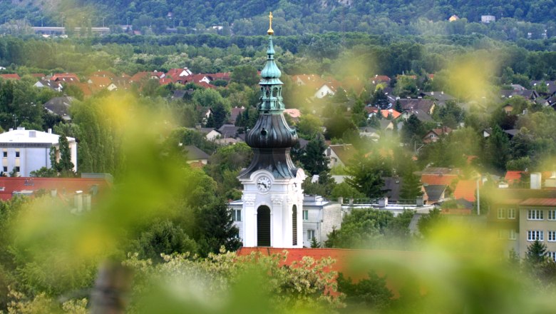 Kirchturm mit grüner Kuppel in einer Stadtlandschaft, umgeben von Bäumen und Häusern.